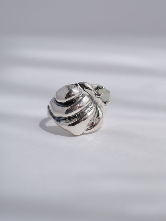 Ring "Treasure hills"