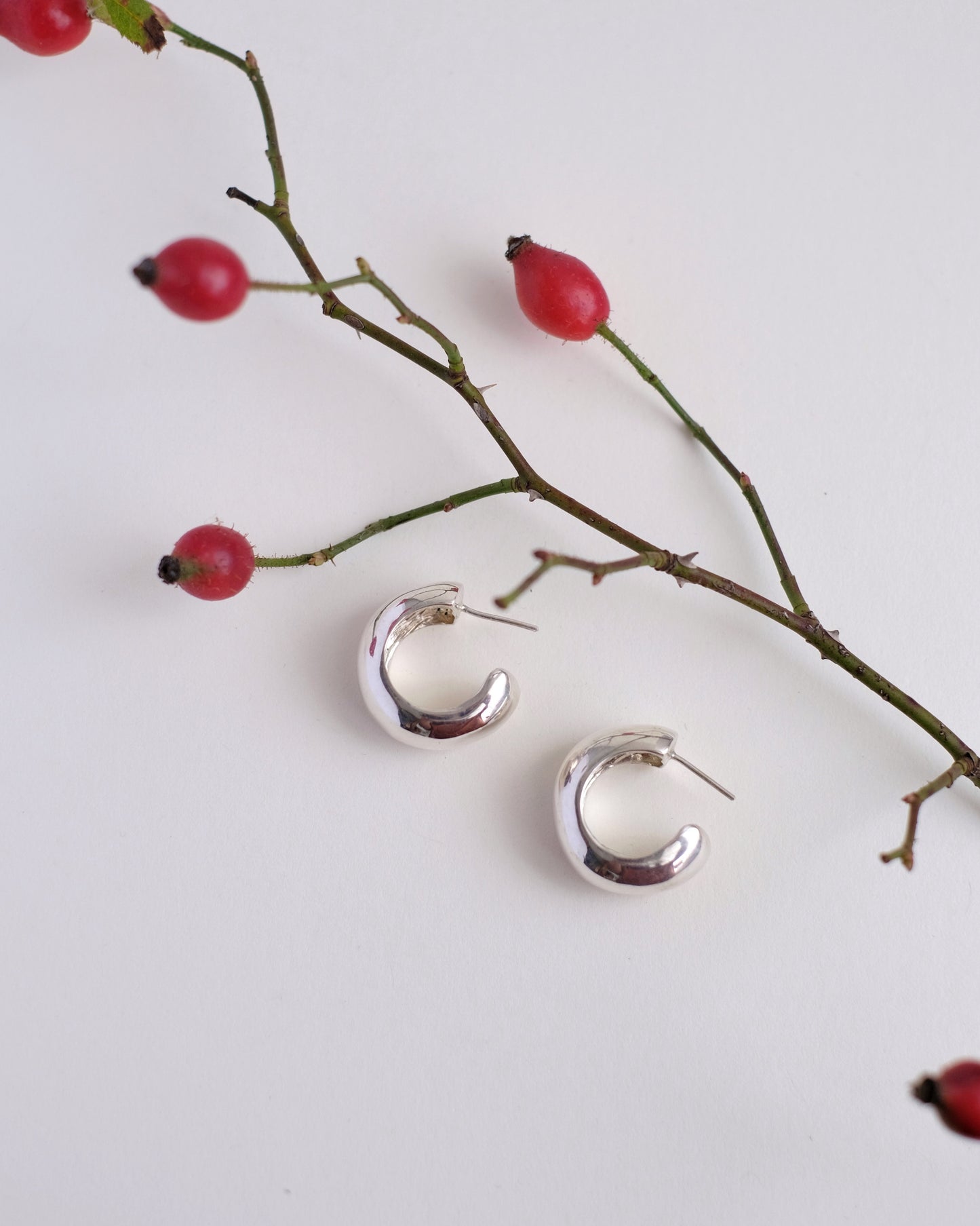 Сережки "Бульбі"