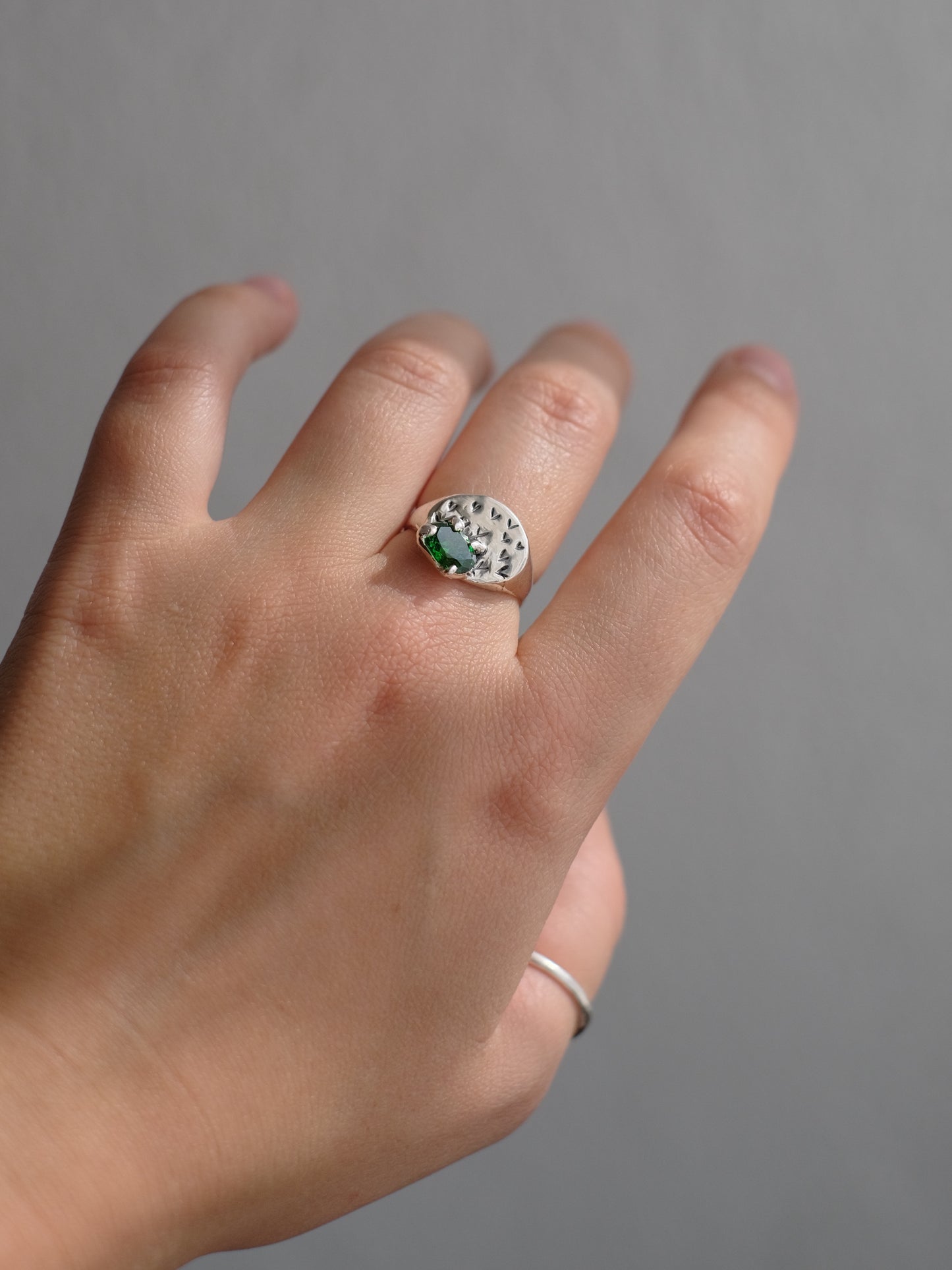 Ring "Ravlik na poli"
