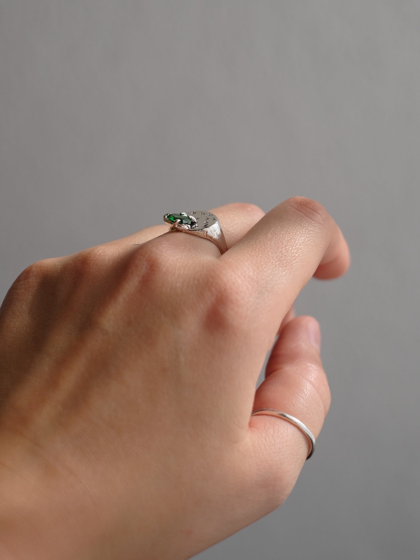 Ring "Ravlik na poli"
