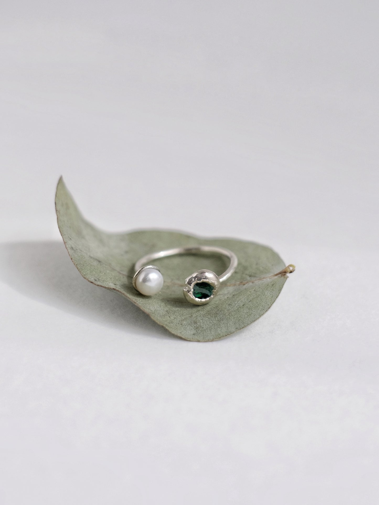 Ring "Lake"