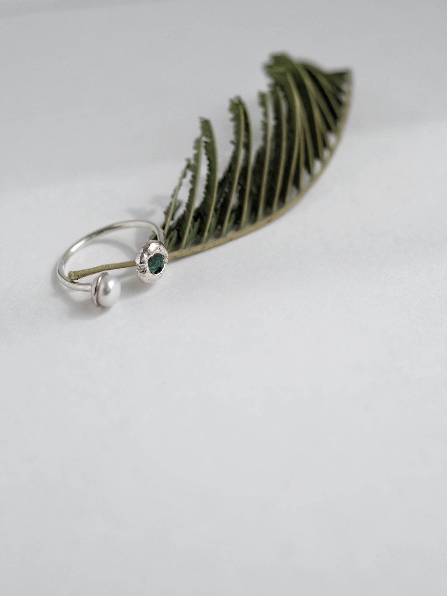 Ring "Lake"