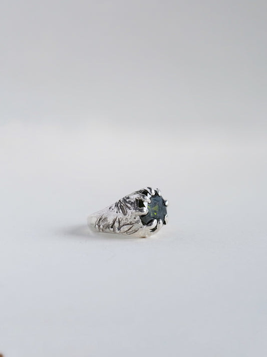 Ring "Mits'"